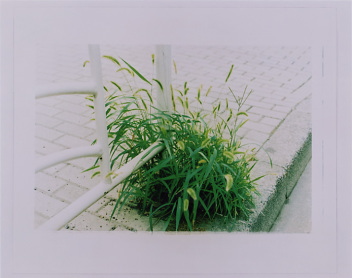 ���̂��두