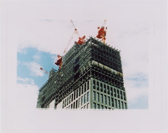 �r�����݌���