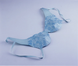 �u���W���[