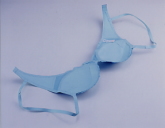 �u���W���[�̗�