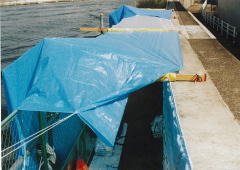 ウォールペイント制作風景