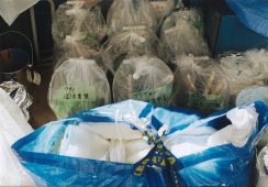 ウォールペイント制作風景