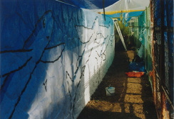 ウォールペイント制作風景