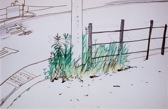 �����̑�