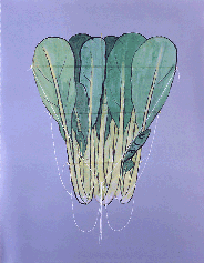 �����ؑ�