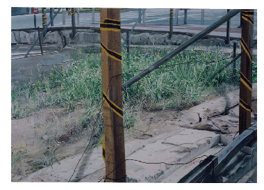 西大橋 空き地の草